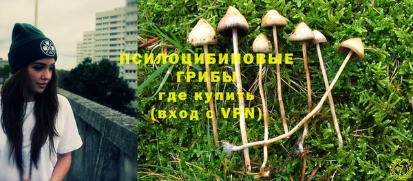 бошки Володарск